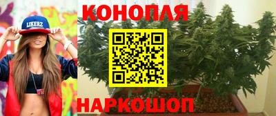 соль ск Можга